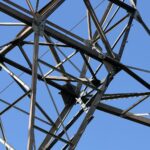 Strommast vor einem dunklen Hintergrund, Symbol für den großflächigen Stromausfall in Reutlingen.