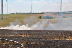 Feldbrand mit Feuerwehr im Einsatz, starke Rauchentwicklung und brennende Fläche.