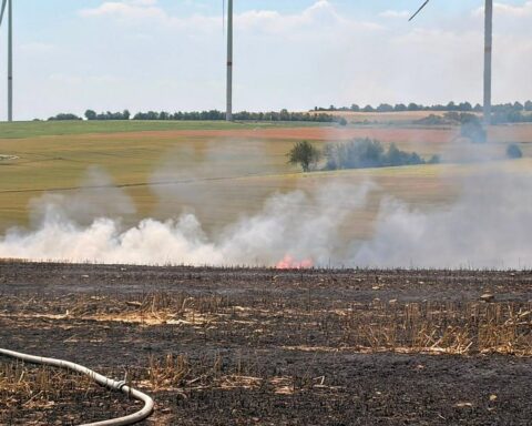 Feldbrand mit Feuerwehr im Einsatz, starke Rauchentwicklung und brennende Fläche.