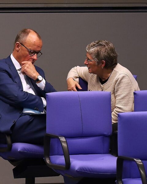 Britta Haßelmann kritisiert Friedrich Merz auf einer Sozialkonferenz der Brandenburger Grünen.