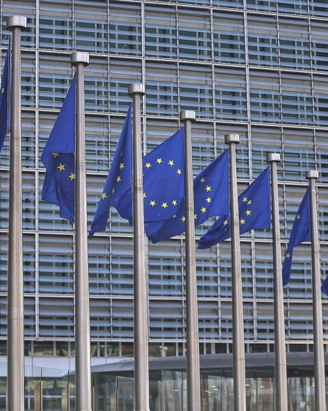 EU-Fahnen symbolisieren Debatte über Arbeiterrechte im Kontext neuer Unternehmensrechtsform.