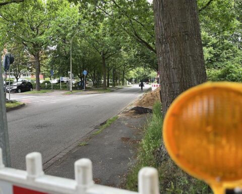 Bauarbeiten am Hindenburgdamm: Vollsperrung, Kanalarbeiten, Umleitungen, Fußgängerdurchgang, neue Straßenbeleuchtung.