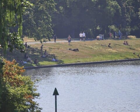 Sonnenanbeter auf Wiese genießen Hitzerekord von 41,7 Grad im Juni 2026 in Deutschland.