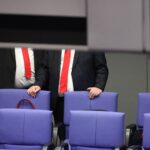 Zwei Bundestagsabgeordnete diskutieren über Politikerbeleidigungen und rechtliche Konsequenzen in Deutschland.