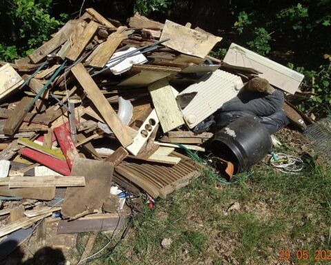 Müllhaufen im Wald: Sperrmüll, Gartenzwerg, Polizeiermittlungen zur illegalen Ablagerung.