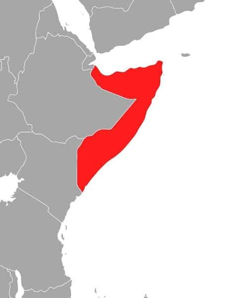 Schusswechsel zwischen Regierungstruppen und Opposition in Mogadischu; Proteste um Wahlen.