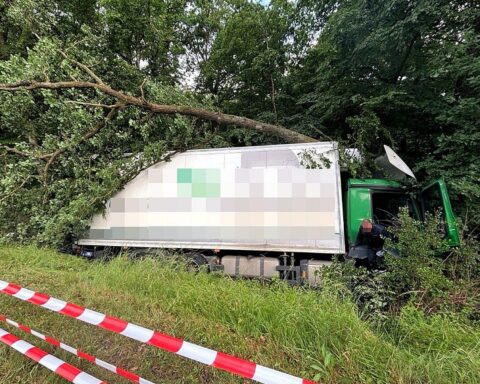 Verunglückter LKW mit Kran, eingeklemmt zwischen Bäumen, Polizei und Rettungsdienst im Einsatz.