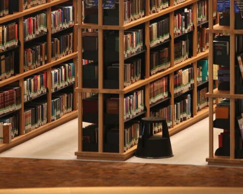 Ein neuer Vorsitzender des Bayerischen Bibliotheksverbands in einer modernen Bibliothek, Bücher und Leser.