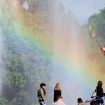 Hitzewarnung für Sachsen-Anhalt: Sonne, hohe Temperaturen und Gefahr von Waldbränden im Park.
