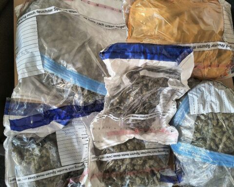 Durchsuchungen gegen Drogenhandel: sichergestelltes Marihuana, Bargeld und Waffen präsentiert.