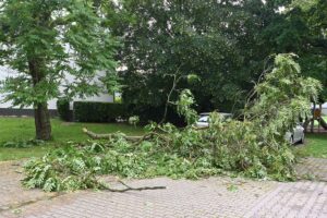 Sturm mit kräftigem Regen, Feuerwehr im Einsatz, blockierte Straßen durch abgebrochene Äste.