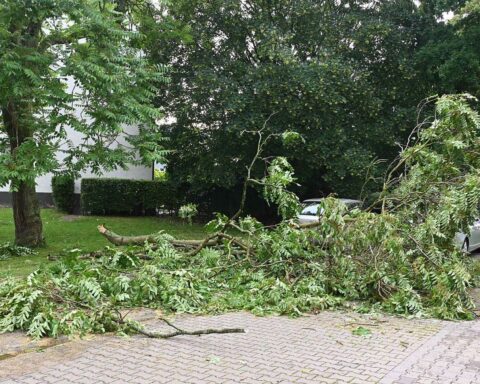 Sturm mit kräftigem Regen, Feuerwehr im Einsatz, blockierte Straßen durch abgebrochene Äste.
