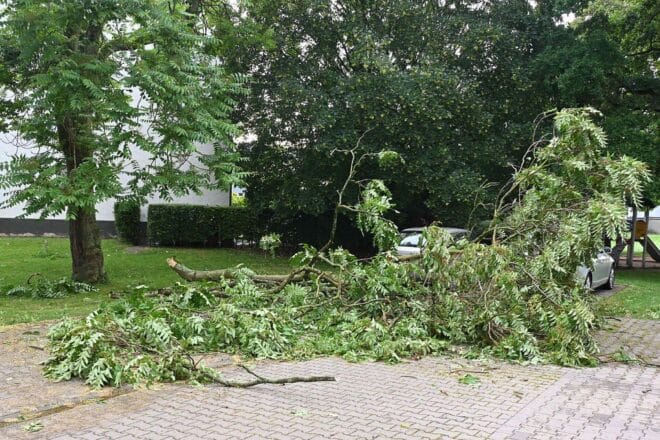 Sturmböen nach Hitzegewitter beschäftigen Feuerwehr Pulheim