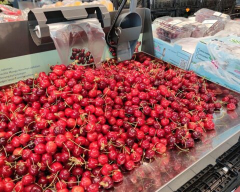 Frische Kirschen in einem Supermarktregal, symbolisierend die positive Ernteprognose für 2026.