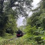 Einsatzkräfte der Feuerwehr beseitigen umgestürzten Baum von Bahngleisen, Museumszug wartet.