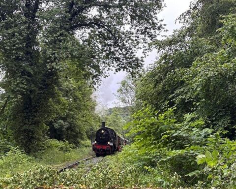 Einsatzkräfte der Feuerwehr beseitigen umgestürzten Baum von Bahngleisen, Museumszug wartet.