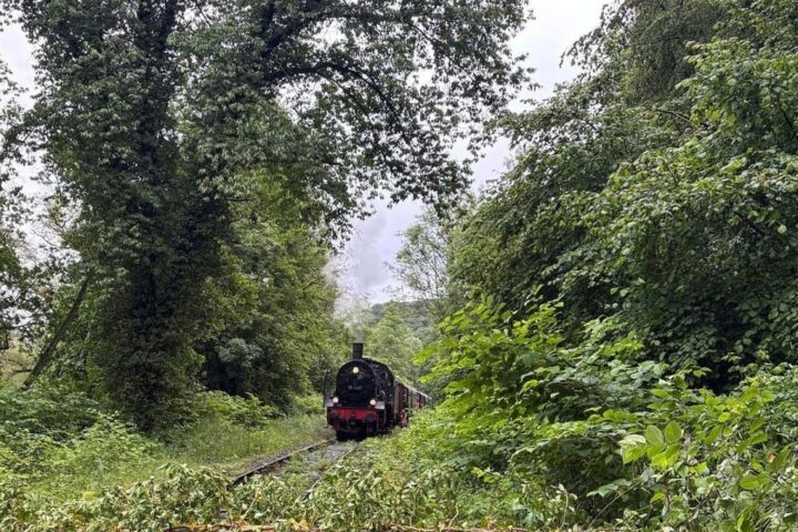 Einsatzkräfte der Feuerwehr beseitigen umgestürzten Baum von Bahngleisen, Museumszug wartet.