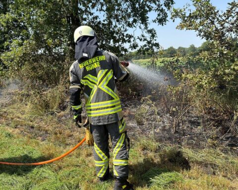 Feuerwehrleute löschen Vegetationsbrand, Einsatz an Feldrand, Wärmebildkamera zur Kontrolle eingesetzt.