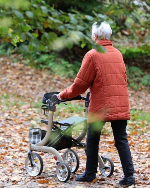 Seniorin betrachtet Rentenunterlagen, symbolisiert steigende Altersvorsorge und Erwerbsbeteiligung in Deutschland.