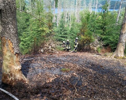 Rauchentwicklung über brennendem Waldboden, Feuerwehr im Einsatz zur Brandbekämpfung.