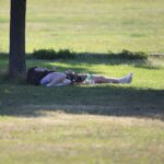 Heißer Sommertag in Mecklenburg-Vorpommern mit Gewitter- und Unwetterwarnungen. Warnhinweise für Waldbrandgefahr.