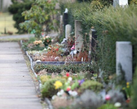 Friedhofslandschaft mit Grabsteinen, die das Thema Sterbefälle und deren Rückgang symbolisiert.