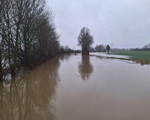 Überschwemmte Landschaft mit Fluss Aue, unzureichender Hochwasserschutz, dringender Handlungsbedarf zur Flächenrenaturierung.
