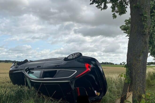 Baumunfall in Schellerten fordert eine verletzte Person