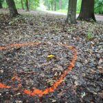 Polizeilicher Tatort: nach CSD-Todesfahrt im Berliner Tiergarten, verletzte Menschen, ermittelnde Einsatzkräfte.