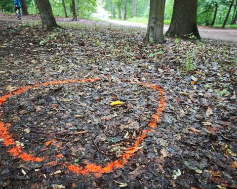 Polizeilicher Tatort: nach CSD-Todesfahrt im Berliner Tiergarten, verletzte Menschen, ermittelnde Einsatzkräfte.
