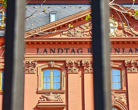 Landtag Rheinland-Pfalz: Diskussion über Einbürgerungen ohne Sprachzertifikat und mögliche Ausnahmen.