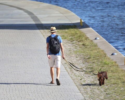 Ein Mann mit Hund vor sonniger Landschaft (Archivfoto); Hinweis auf heißen, trockenen Juli in Deutschland.