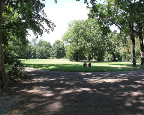 Stadtpark im Archiv, dts Nachrichtenagentur, Symbol für Klimaanpassung und städtische Maßnahmen gegen Hitze.