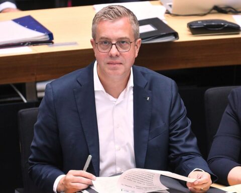 Stefan Evers (CDU) hält ein Statement zur Leihmutterschaft-Debatte, Archivfoto.