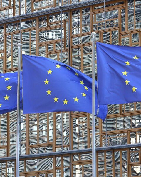 EU-Fahnen im Vordergrund, symbolisieren Diskussion über Ukrainisches EU-Mitgliedschaftsmodell und notwendige Reformen.