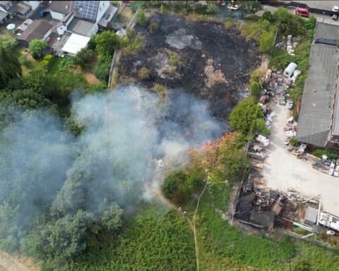 Feuerwehr Bochum im Einsatz bei Vegetationsbrand: brennende Wiese und Strauchwerk in Wattenscheid (Archiv).