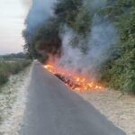 Feuerwehr löscht Vegetationsbrand in einem Waldstück in Dortmund-Lanstrop; Einsatzfahrzeuge und Löschkräfte im Einsatz.