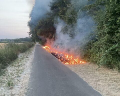 Feuerwehr löscht Vegetationsbrand in einem Waldstück in Dortmund-Lanstrop; Einsatzfahrzeuge und Löschkräfte im Einsatz.