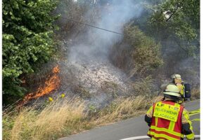 Flächenbrand an der Autobahn mit Feuerwehr im Einsatz, Löschmaßnahmen und Rauchentwicklung sichtbar.