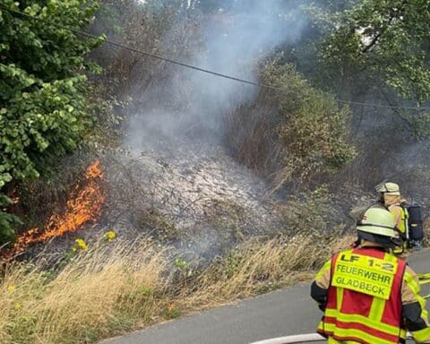 Flächenbrand an der Autobahn mit Feuerwehr im Einsatz, Löschmaßnahmen und Rauchentwicklung sichtbar.