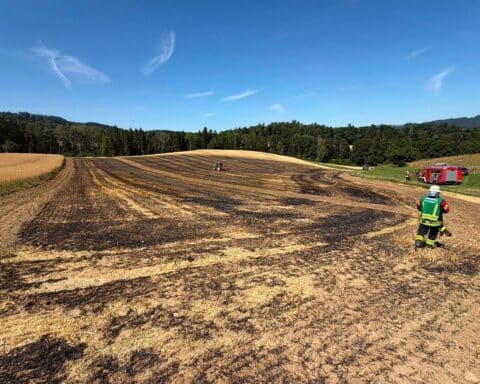 Feuerwehr im Einsatz bei Flächenbrand auf Feld nahe Lippertsreute-Ernatsreute, Rauch und Löschmaßnahmen.