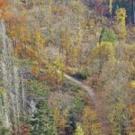 Waldbrand-Gefahr: brennender Wald im Archiv, Forstkammer fordert Schutzmaßnahmen, Förderung, Technik und Kooperation.
