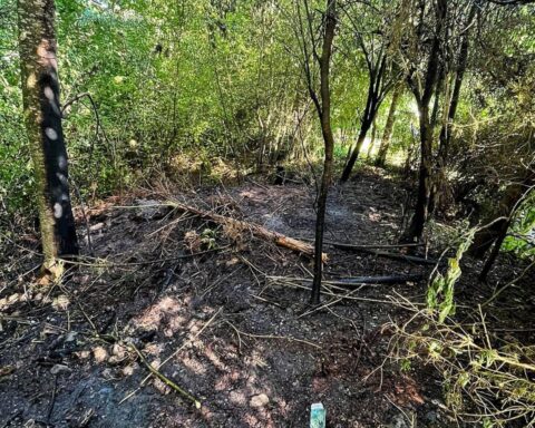 Feuerwehr löscht Brand an Waldrand; Anwohner unterstützen beim schnellen Eingreifen.