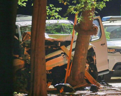 Weißer Transporter nach Angriff beim CSD in Menschenmenge, Polizei sucht Tatverdächtigen im Berliner Tiergarten.