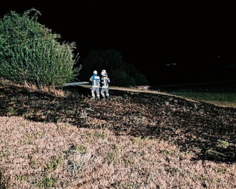 Feuerwehr im Einsatz bei Flächenbrand in Radolfzell-Markelfingen, Nachlöscharbeiten auf großer Wiesenfläche.