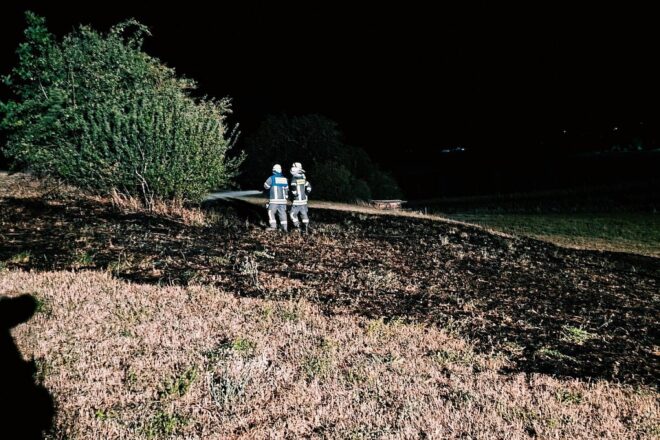 Großflächiger Wiesenbrand in Radolfzell-Markelfingen