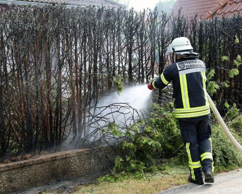 Feuerwehr kontrolliert Brandstelle einer abgebrannten Thuja-Hecke nach Heckenbrand in Hambühren.