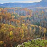 Schwere Unwetter-Szene in der Sächsischen Schweiz: umgestürzter Baum, Einsatzkräfte und Suchaktion.