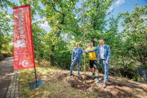 Ministerpräsident und Zoodirektor pflanzen gemeinsam eine Zitterpappel im Bergzoo Halle.