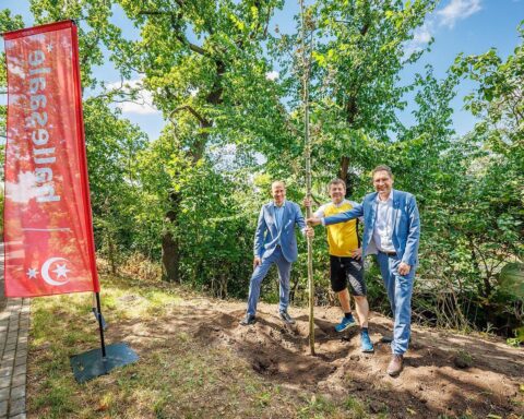 Ministerpräsident und Zoodirektor pflanzen gemeinsam eine Zitterpappel im Bergzoo Halle.